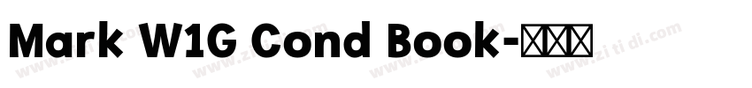 Mark W1G Cond Book字体转换